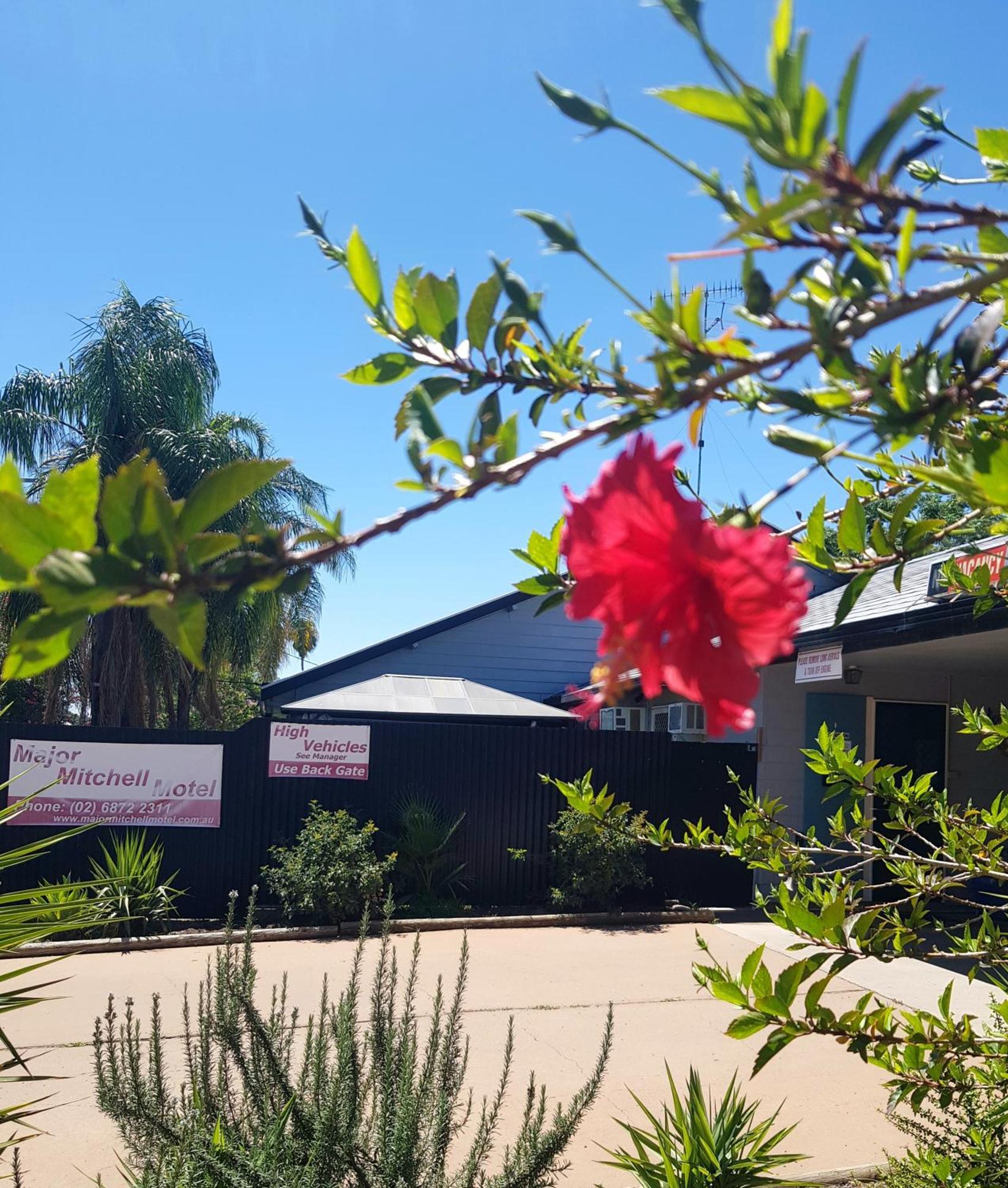 The Major Mitchell Motel Bourke Exterior foto